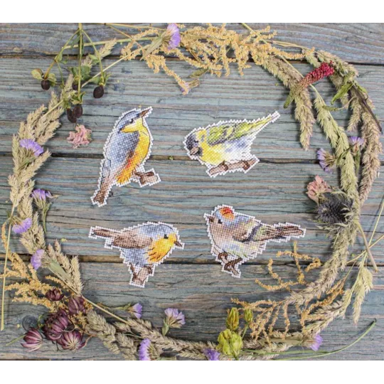 Kit de point de croix "Oiseaux exprimés. Aimants" SR-892