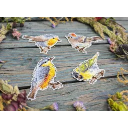 Kit de point de croix "Oiseaux exprimés. Aimants" SR-892