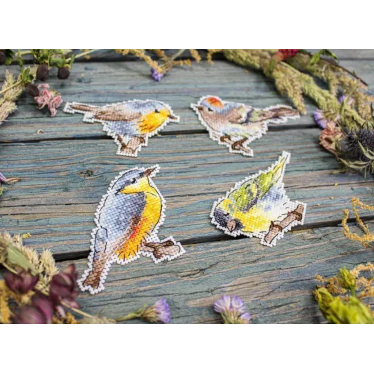 Kit de point de croix "Oiseaux exprimés. Aimants" SR-892