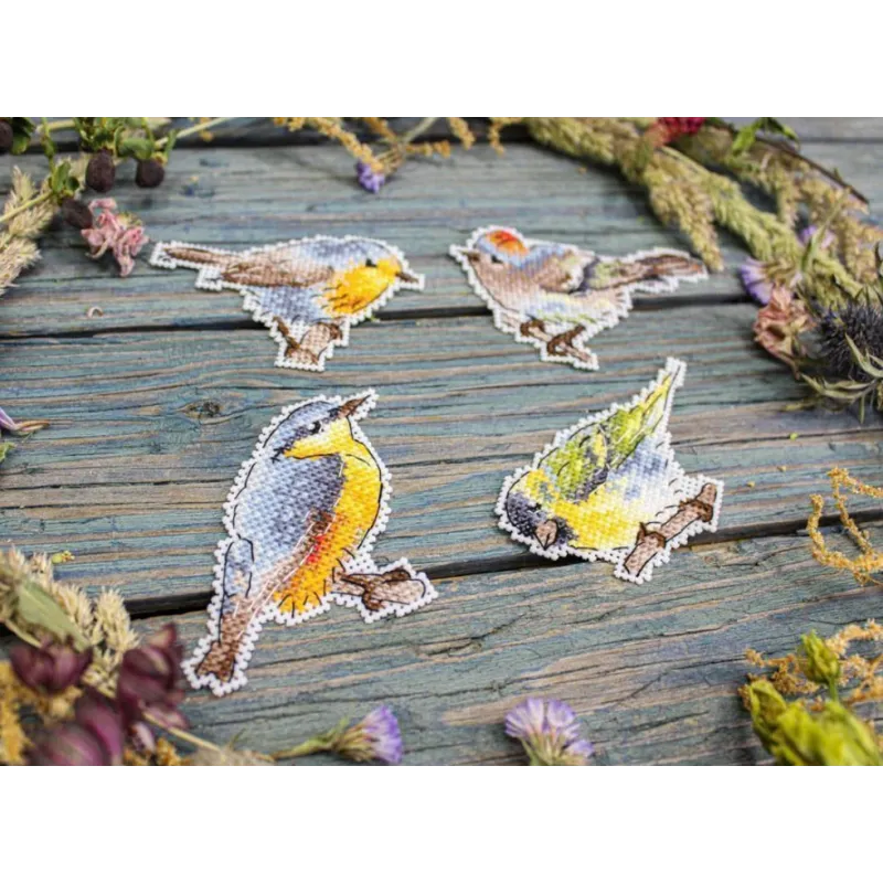 Kit de point de croix "Oiseaux exprimés. Aimants" SR-892