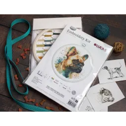 Kit de point de croix compté avec cercle inclus "Le bouledogue français" 15x15cm SBC207