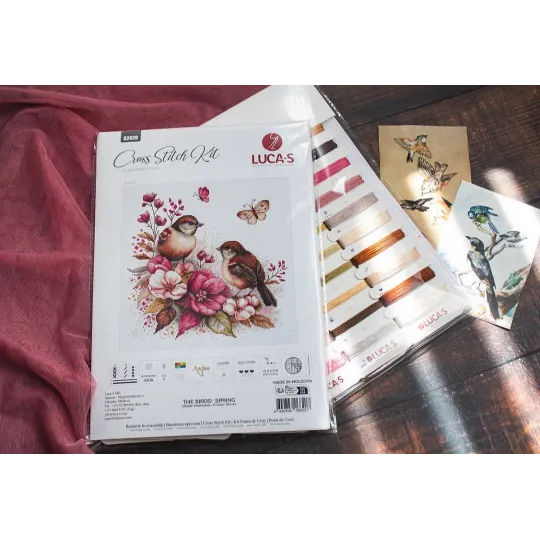 Kit de point de croix compté "Les oiseaux - Printemps" 22x21cm SB2420