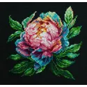 Gezählter Kreuzstich-Set mit Reifen Inklusive ''Abalone Pearl'' Pfingstrose 12x12cm SBC203