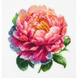 Zählkreuzstich-Set mit aufgespanntem Rahmen ’’Coral Charm’’ Pfingstrose 12x12cm SBC205