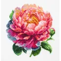 Counted Cross Stitch Kit with Hoop Included ’’Coral Charm’’ Peony 12x12cm SBC205