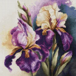 Skaičiuojamojo kryžiaus dygsnio rinkinys "Iris Burgermeister" 22x22cm SB7023