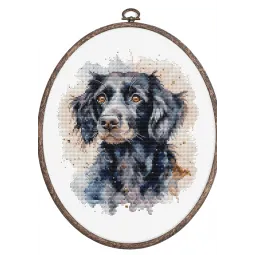 Набор для вышивания крестом с пяльцами в комплекте «Бордер-колли» 17x20см SBC213