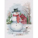 Cross stitch kit "Mister "S"" S1569