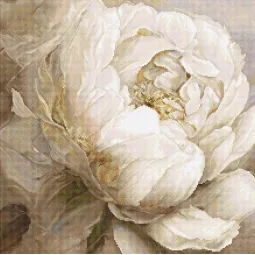 Skaičiuojamo kryžminio dygsnio rinkinys „Peony Poses“ 35x35cm SLETIL8083