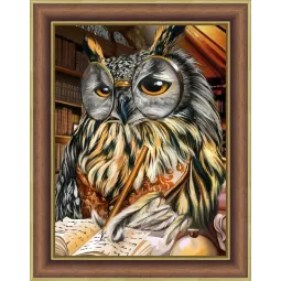 (D) Hibou intelligent 30x40 cm AZ-1737