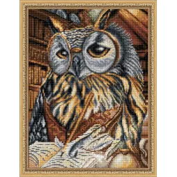 (D) Hibou intelligent 30x40 cm AZ-1737