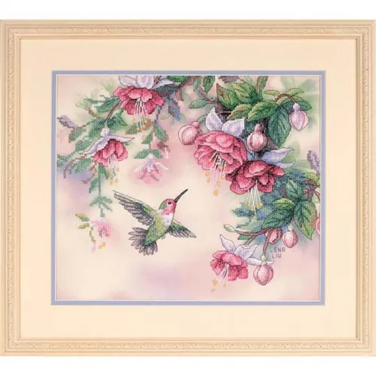 Dimensions des Colibri Fuchsias D13139