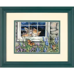 Кошачая Любовь D65051