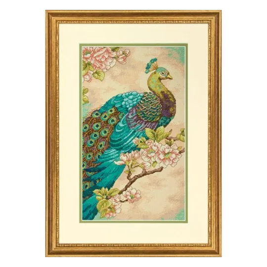 Indian Peacock D70-35293