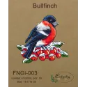 Bullfinch FNNGI-003