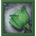 AUSVERKAUFT (Eingestellt) Diamond Painting Kit Green Rose 22х24 cm AZ-28